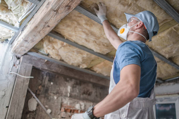 Best Wall Insulation Contractor  in Andale, KS
